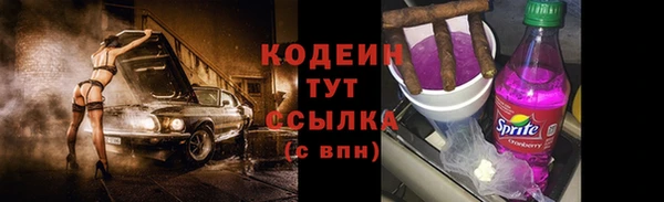 соль ск Бородино