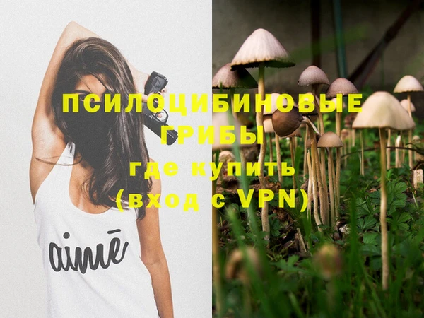 соль ск Бородино