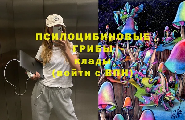 соль ск Бородино