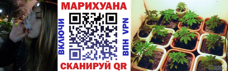 Конопля семена Горнозаводск